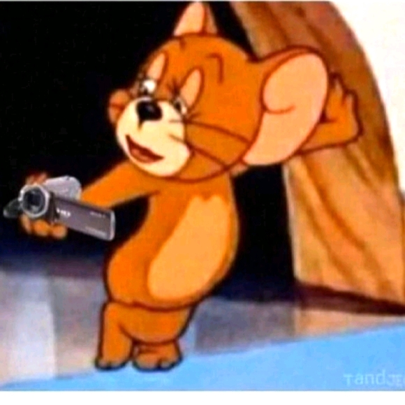 Meet your Posher, Koko - Picture 1 of 1